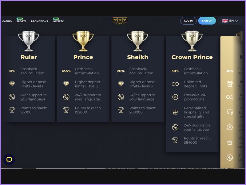 Payment Methods and Cryptocurrencies at YYY Casino